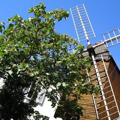 Montmartre Private Walking Tour