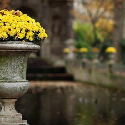 Latin Quarter 2-Hour Private Walking Tour