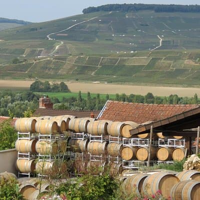 Private wine tour to Champagne region from Paris