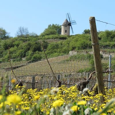 Private Wine Tour to Burgundy Region from Paris
