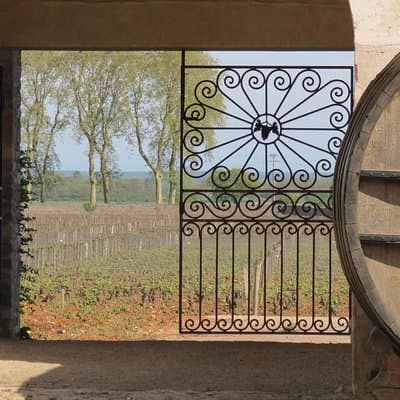 Private Wine Tour to Burgundy Region from Paris 2