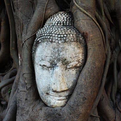 Private Excursion to Ayutthaya, UNESCO World Heritage site with Boat Tour 2