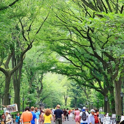 Central Park Photography Tour with Local Photographer 4