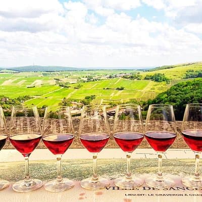 Private wine tour to Sancerre vineyards from Paris with Sommelier