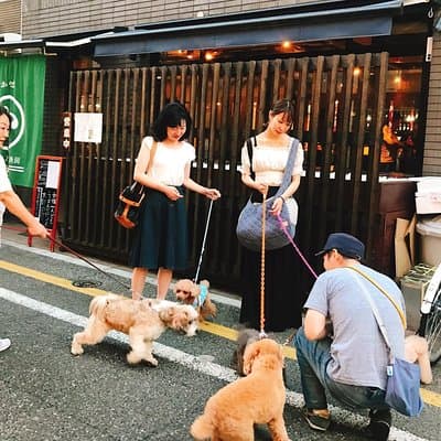 Gotokuji and Setagaya Walking Tour: Home of the Lucky Cat Statue 5