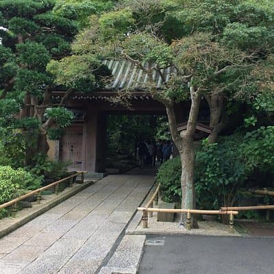 Kamakura Walking Tour with Local Guide Including Hokokuji Temple
