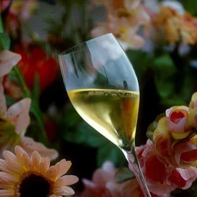 Private Full-Day Tour of Champagne Region 3