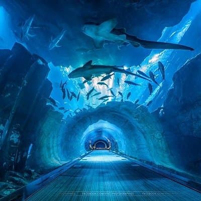 Private Tour: Full Day Dubai City Excursion Including Dubai Museum 2
