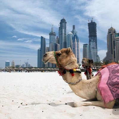 Full Day Dubai Tour with Lunch and Entry to Burj Khalifa 4