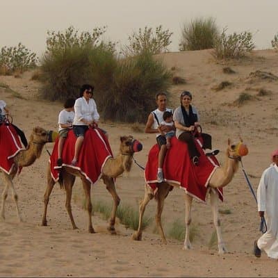 Morning Dubai Desert Dune Bashing and Camel Ride 3