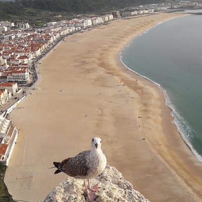 Fátima, Batalha, Nazaré and Óbidos day Tour