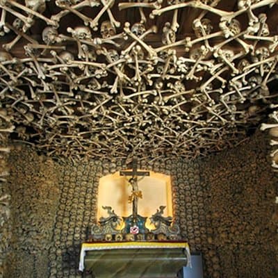 Historical Evora PRIVATE Full Day Tour | Cork, Wine and Olive Oil 3