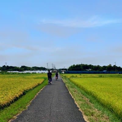 Rural Japan cycling tour to the rich nature area in Ichinomiya