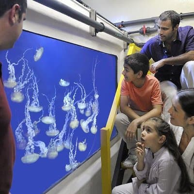 Lost World Aquarium + Behind The Scenes Tour 2