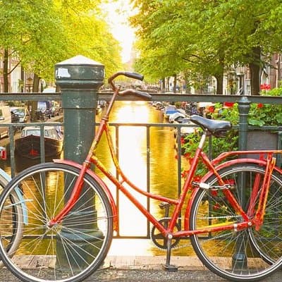 Amsterdam City Center Guided Walking Tour Semi-Private 12ppl Max