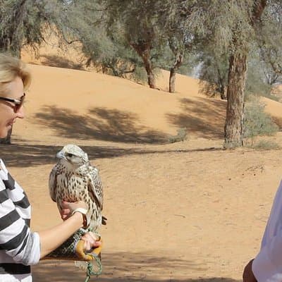 Small-Group Tour: Falcon 2—Dubai Falconry Safari