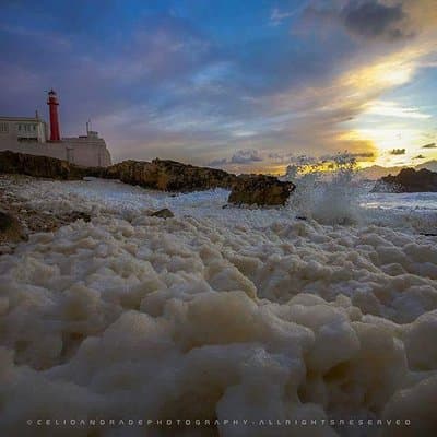 Sintra , Pena Palace , Cabo da Roca & Cascais Small Group Tour 4