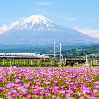 Bullet Train and Mt. Fuji Famous Food Tour