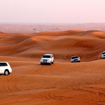 Morning Dubai Desert Dune Bashing and Camel Ride 4