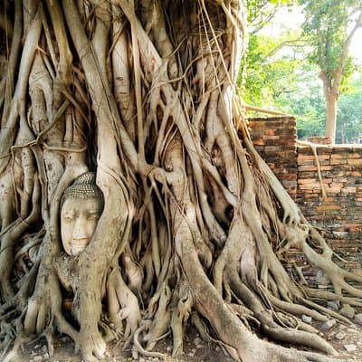 Private Tour: Full Day Ancient City of Ayutthaya and Lopburi 2