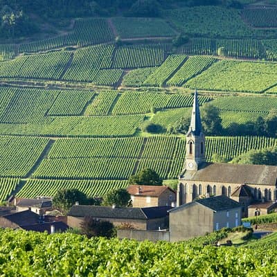 BURGUNDY : Unique Wine Tour from PARIS (Day-trip by TGV - High-speed train)