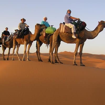 Dubai Camel Caravan with BBQ Dinner Buffet 4