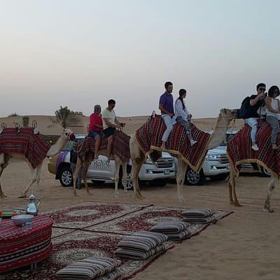 Dubai Camel Caravan with BBQ Dinner Buffet 3
