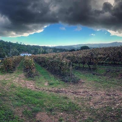 Arrábida Palmela Azeitão Private Tour - W/ Wine Tasting & Tapas 5