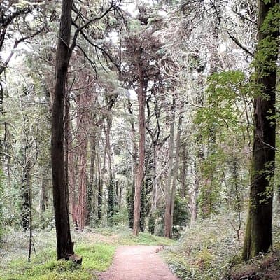 Private Half Day Hiking in Sintra-Cascais Natural Park 4