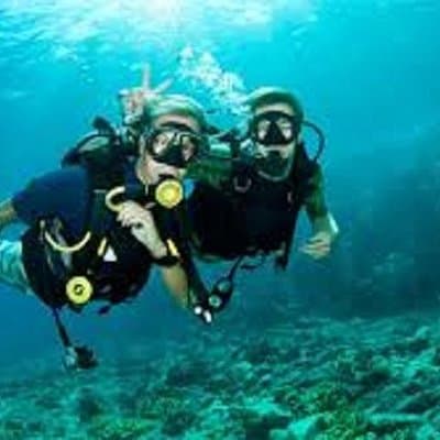 Lisbon Active Tourism - Diving in Arrábia - Sesimbra 2