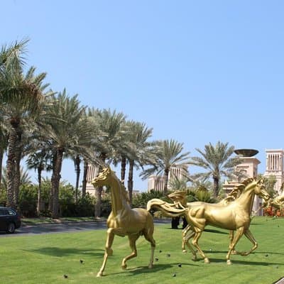 Dubai City Tour with Dubai Frame Experience 3