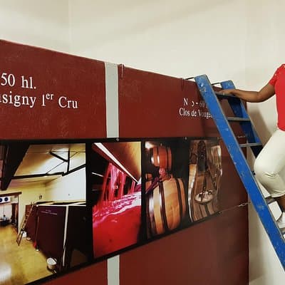 Private Wine Tour to Burgundy Region from Paris 3