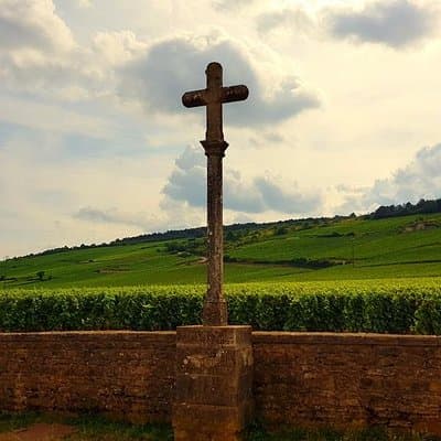 Private Wine Tour to Burgundy Region from Paris 4