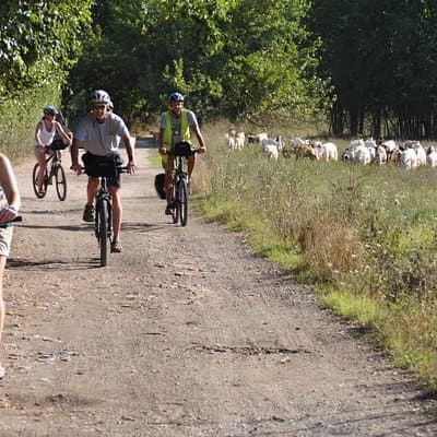 PRIVATE Appian Way and Lake Albano Ebike Tour with Italian Lunch 4