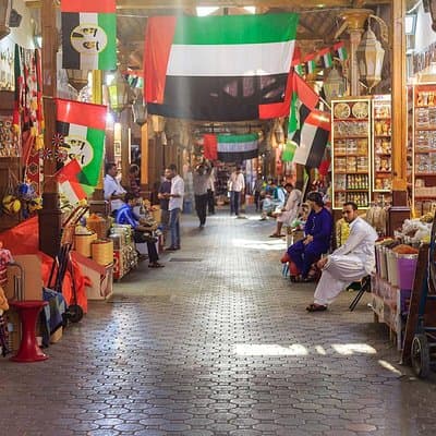 Dubai City Tour and Evening Desert Safari BBQ Dinner- Combo Tour 5