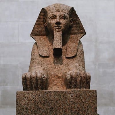 The Met Museum & Central Park Guided Tour Semi-Private 8ppl Max 5