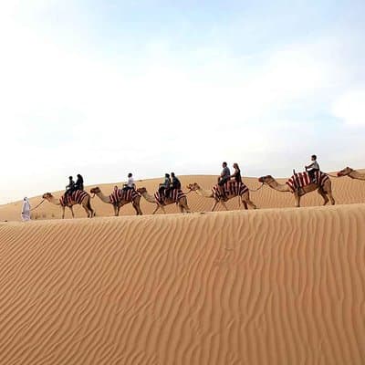 Dubai Morning Red Dunes with Camel Safari & Sandsurf 3