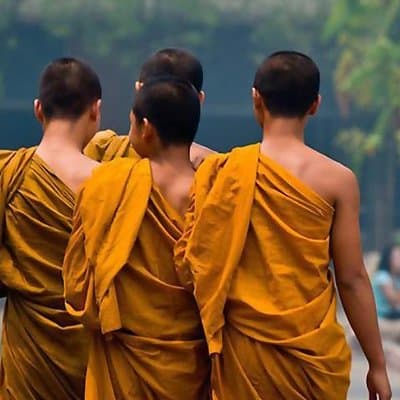 Visit temples in and around Bangkok with a former monk of 10 years