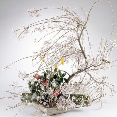 Tokyo Ikebana, Japanese Traditional Flower Arrangement Experience 2