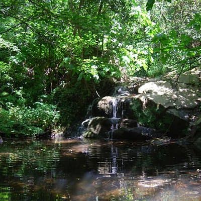 Montseny Guided Hiking Tour from Barcelona with Organic-friendly Lunch 5