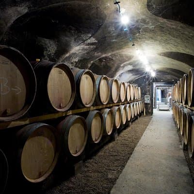 BURGUNDY : Unique Wine Tour from PARIS (Day-trip by TGV - High-speed train) 2