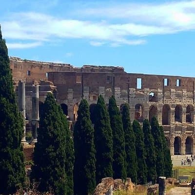 Colosseum and Roman Forum Private Tour led by an archaeologist