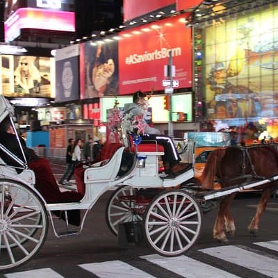 Horse Carriage Tour in New York City's Central Park Small Loop 5