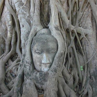 Private 10-Day Thailand Family Tour with Phuket Island