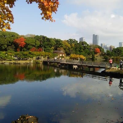 8-hour Tokyo tour by qualified tour guide using public transport 3