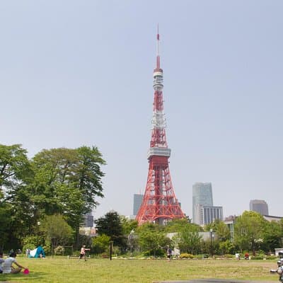 8-hour Tokyo tour by qualified tour guide using public transport 4