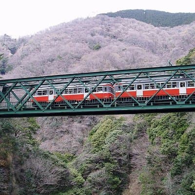 Exciting Hakone - One Day Tour from Tokyo 3