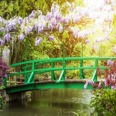 Giverny Monet's House & Gardens Private Half-Day Trip from Paris 4