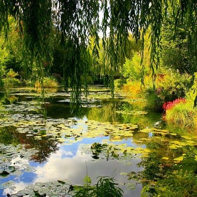 Giverny Monet's House & Gardens Private Half-Day Trip from Paris 3
