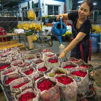 Bangkok Selfie Expert Tour: Little India, Wat Traimit & Wat Pho 5